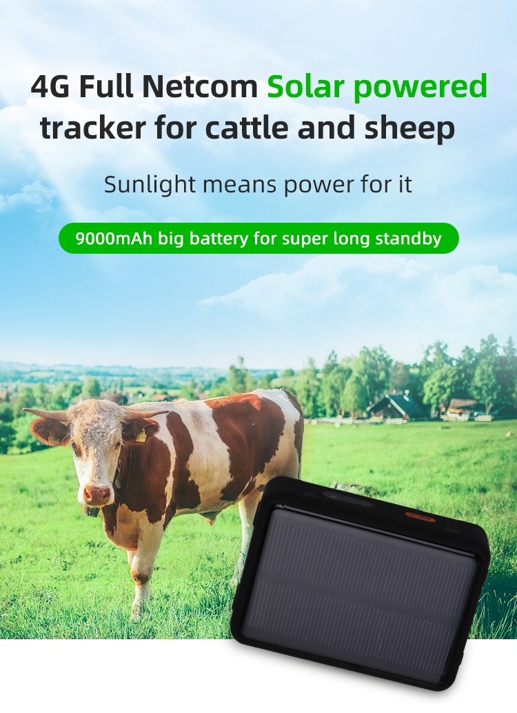 4G LTE Livestock GPS Solar Tracker (imported airfreight)